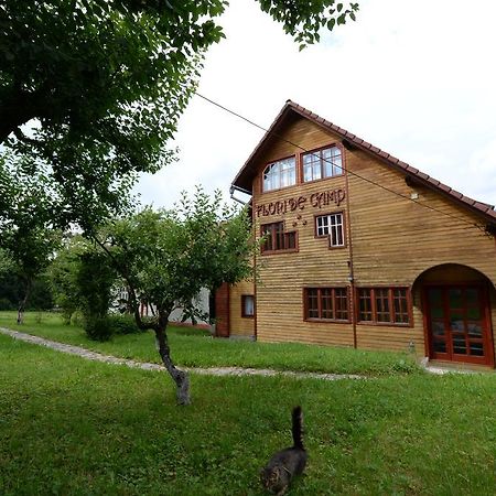 Pensiunea Flori De Camp Vatra Dornei Exterior foto