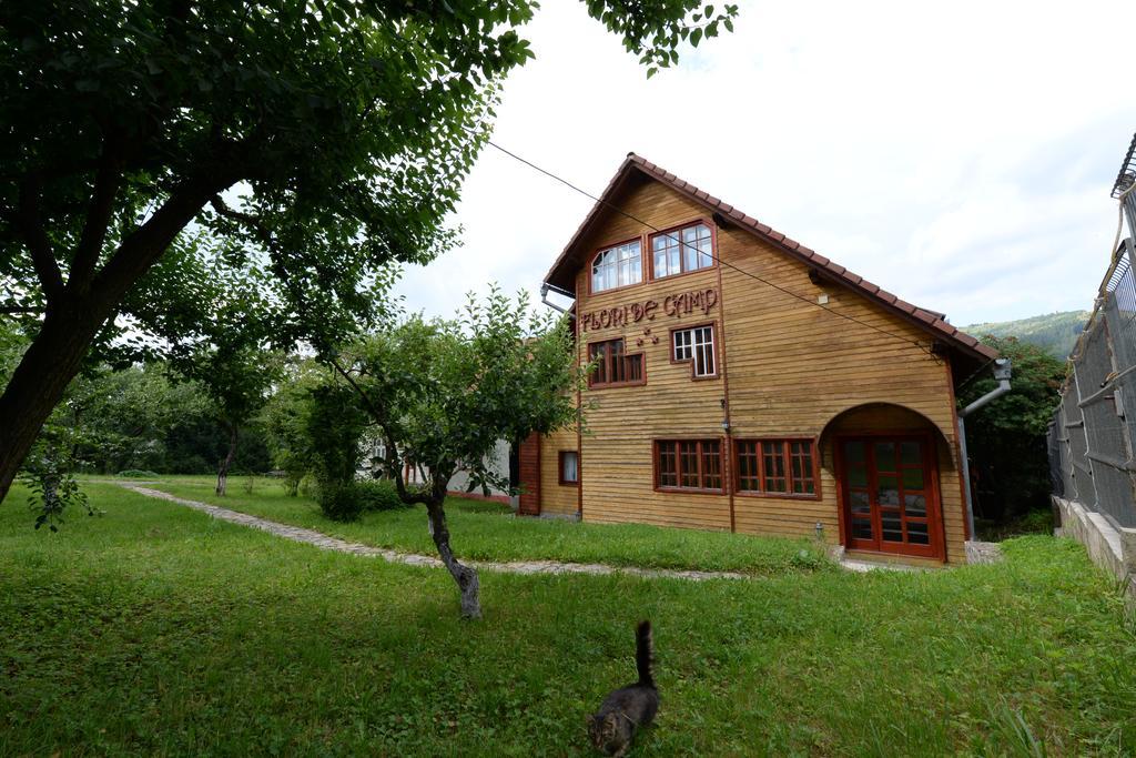 Pensiunea Flori De Camp Vatra Dornei Exterior foto