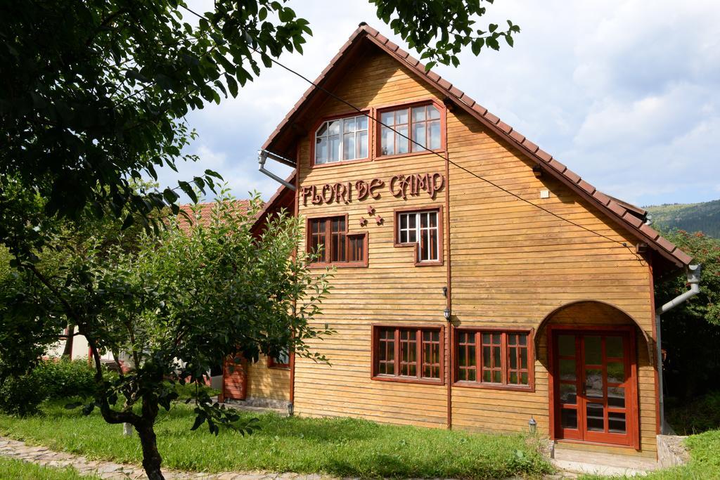 Pensiunea Flori De Camp Vatra Dornei Exterior foto