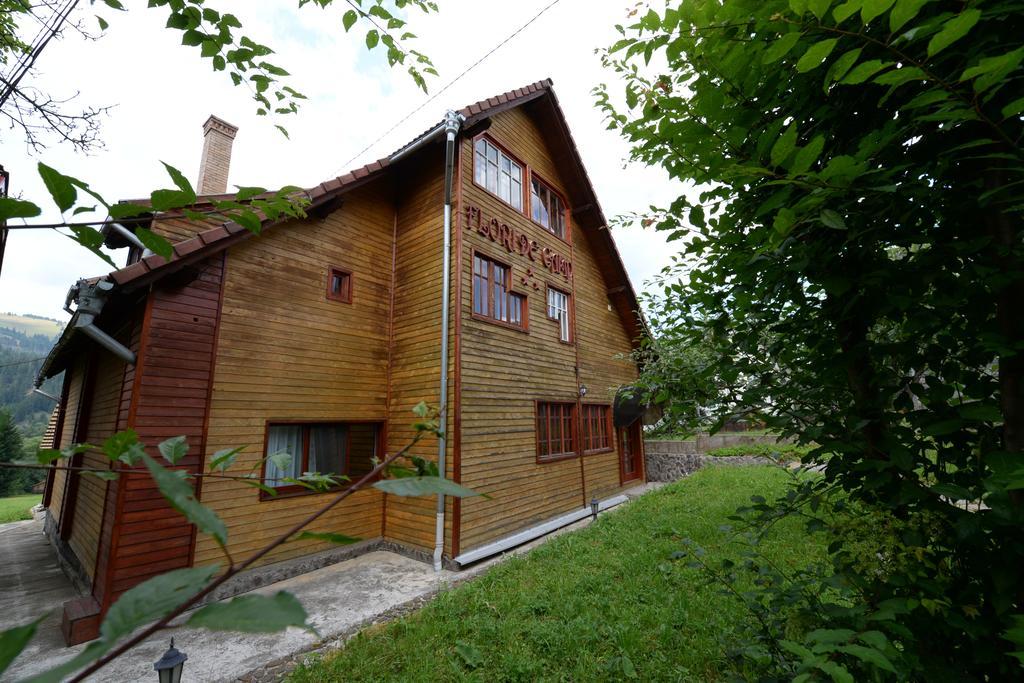 Pensiunea Flori De Camp Vatra Dornei Exterior foto