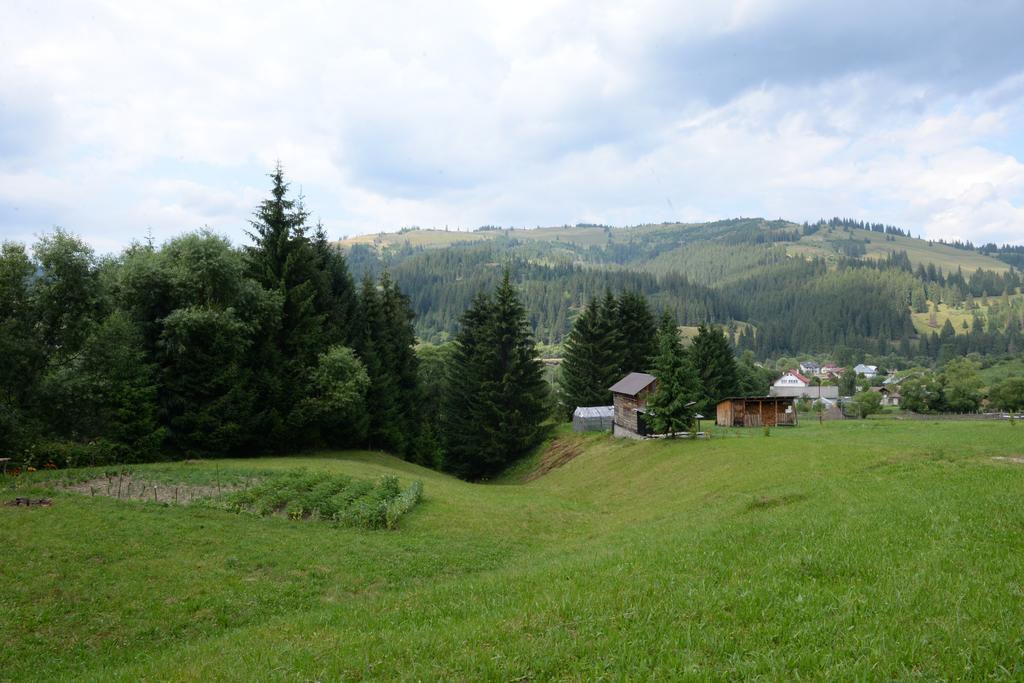 Pensiunea Flori De Camp Vatra Dornei Exterior foto
